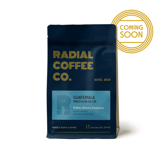 Guatemala — Pablo & Eva Del Cid